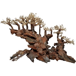 Bonsai wood tree - Water bridge bonsai - trærod - 60x30x40cm